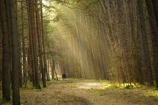 Camminare insieme a Gesù è più importante che conoscerlo teoricamente